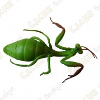 Cache "insect" - Praying mantis